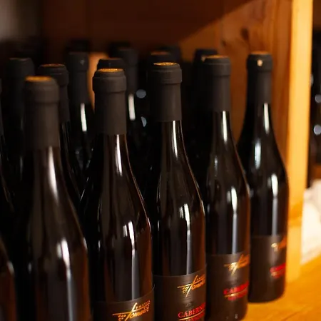 Apartament Kmetija Tomazic Vinska Klet - Winery