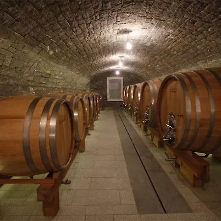 Kmetija Tomazic Vinska Klet - Winery Apartment Vipava