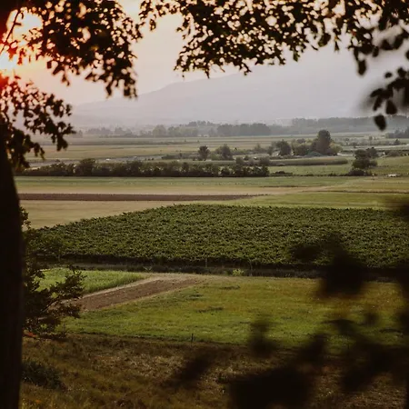 Kmetija Tomazic Vinska Klet - Winery Vipava