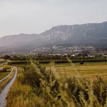 Διαμέρισμα Kmetija Tomazic Vinska Klet - Winery