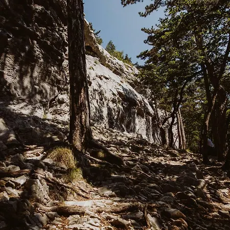 Kmetija Tomazic Vinska Klet - Winery * Vipava