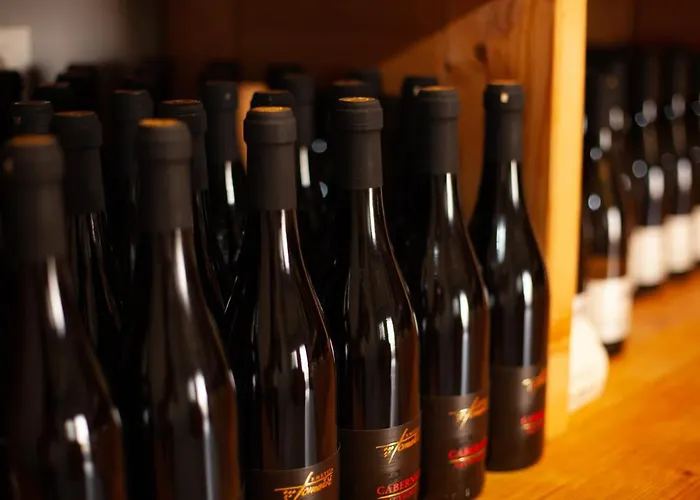 Appartamento Kmetija Tomazic Vinska Klet - Winery