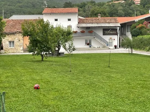 Kmetija Tomazic Vinska Klet - Winery Appartamento Vipava