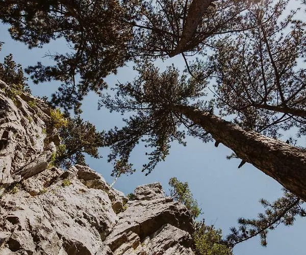 Appartamento Kmetija Tomazic Vinska Klet - Winery *