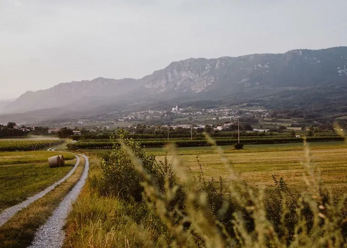 Appartamento Kmetija Tomazic Vinska Klet - Winery