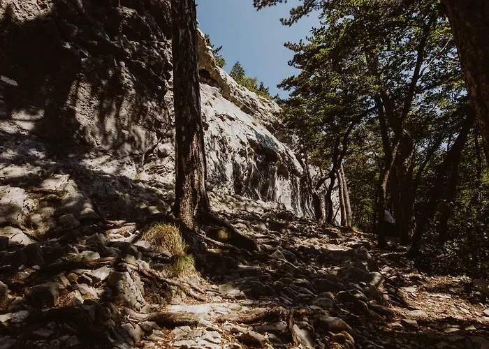 Kmetija Tomazic Vinska Klet - Winery * Vipava